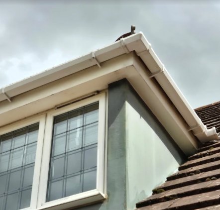 Dormer fascia corner cleaned back to white